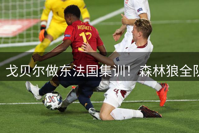 戈贝尔做东法国集训！森林狼全队埃菲尔铁塔下晒温馨合影