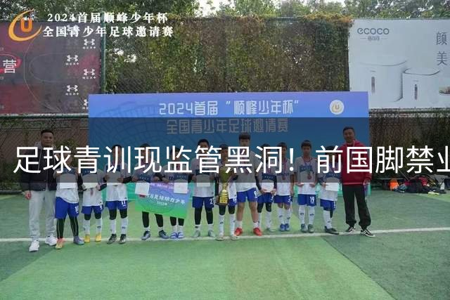 足球青训现监管黑洞！前国脚禁业后隐形掌权 掌掴事件撕开制度伤口
