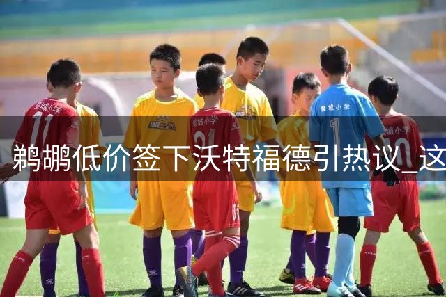 鹈鹕低价签下沃特福德引热议 这笔交易值不值？