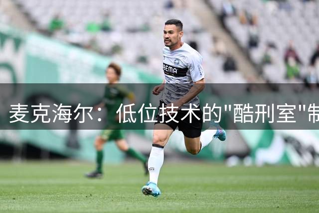麦克海尔：低位技术的"酷刑室"制造者