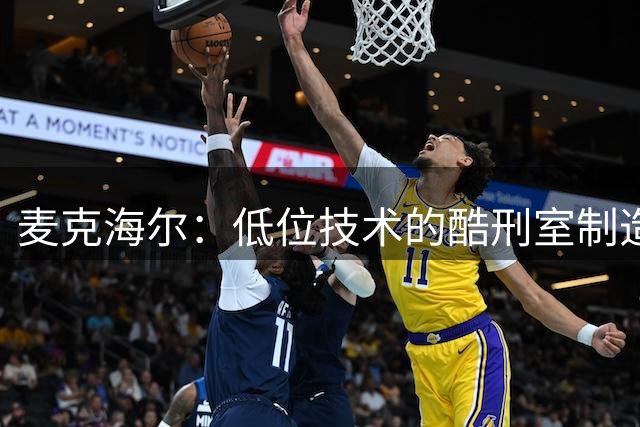 麦克海尔：低位技术的"酷刑室"制造者